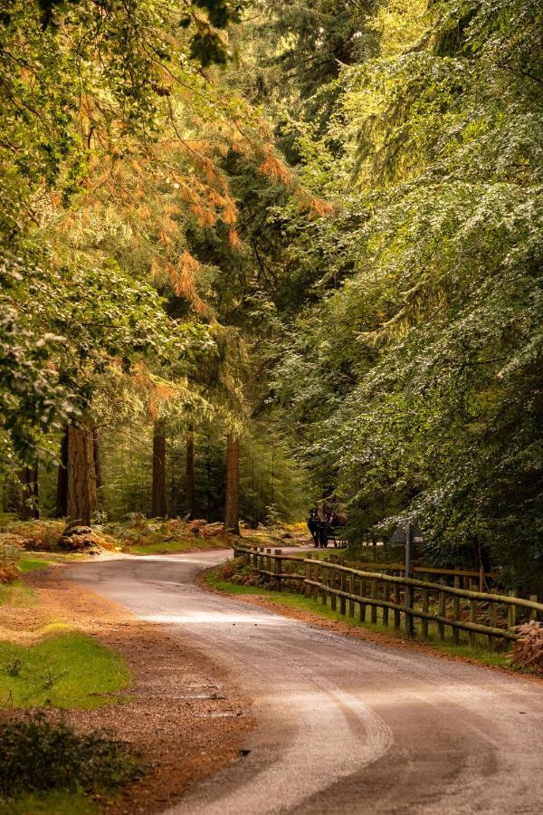 New Park Manor Hotel - A Luxury Family Hotel Brockenhurst Eksteriør billede
