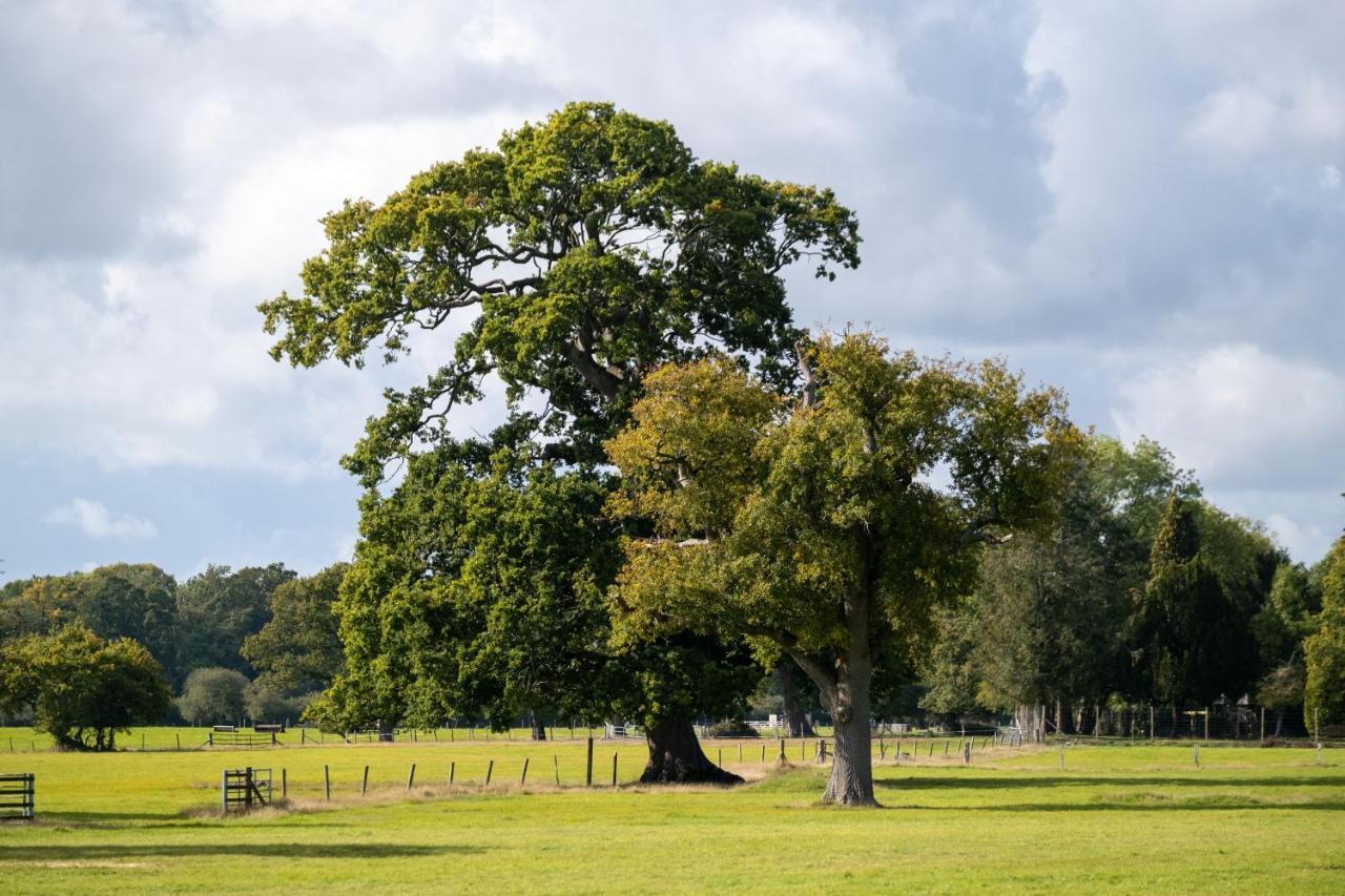 New Park Manor Hotel - A Luxury Family Hotel Brockenhurst Eksteriør billede